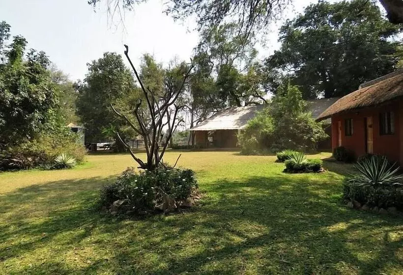 هتل Croc Valley Camp