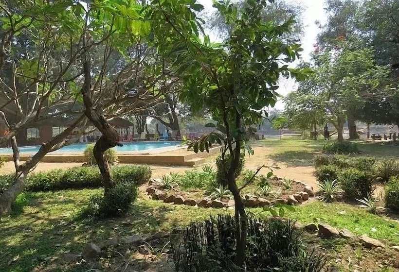 هتل Croc Valley Camp