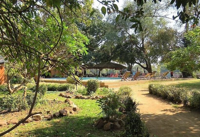 호텔 Croc Valley Camp