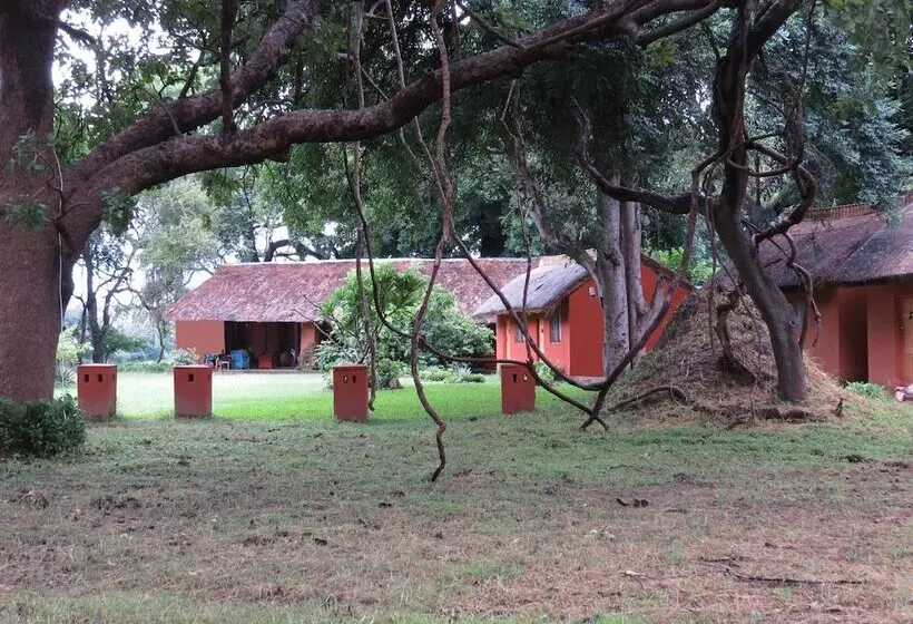 هتل Croc Valley Camp