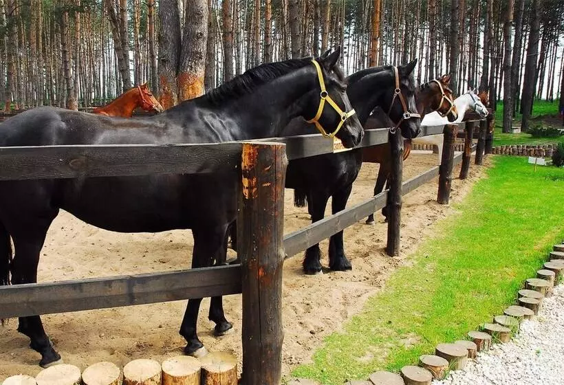 Hotelli Park Drakino