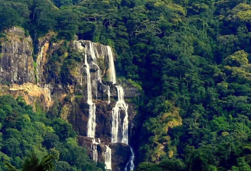 ホテル Udzungwa Forest Camp