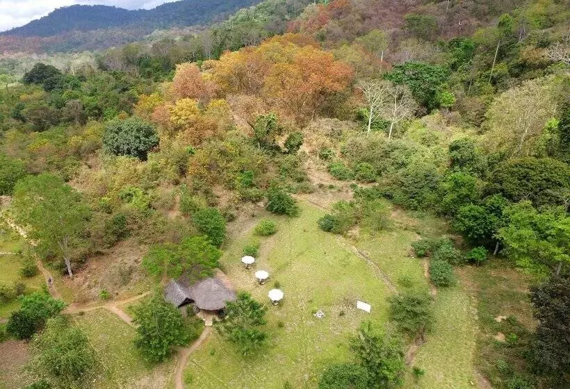 ホテル Udzungwa Forest Camp