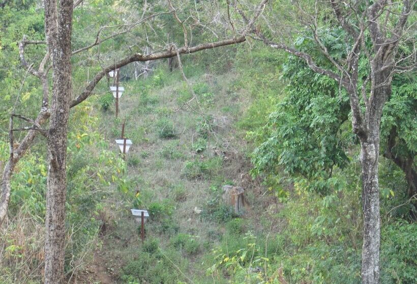 Hotel Udzungwa Forest Camp