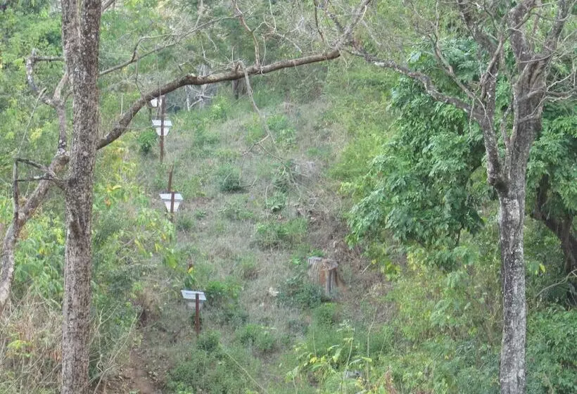 ホテル Udzungwa Forest Camp