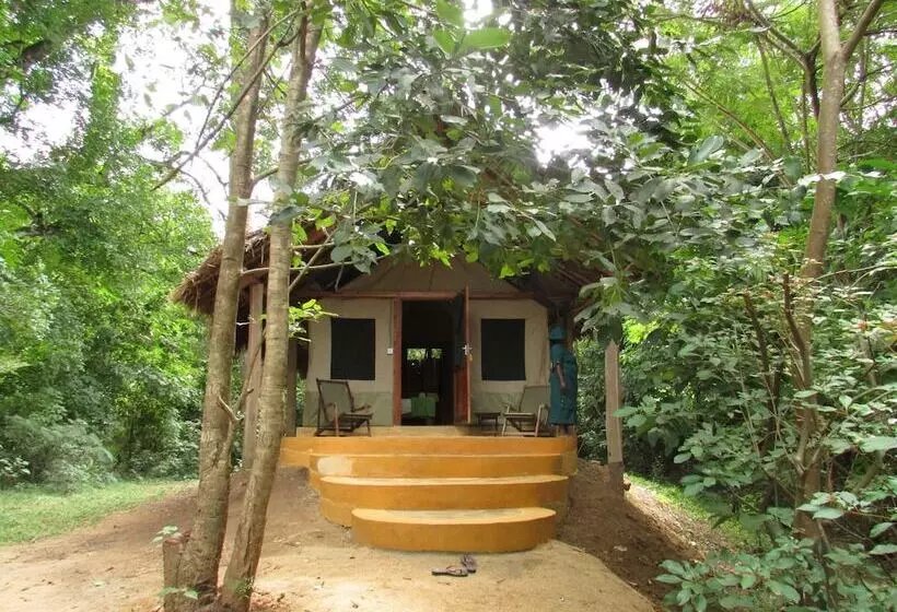 ホテル Udzungwa Forest Camp