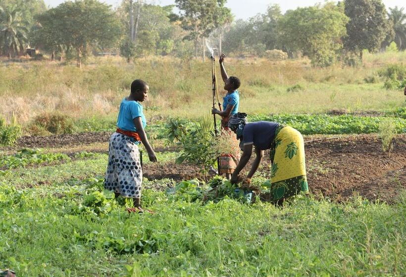 Hotel Udzungwa Forest Camp