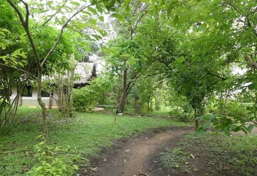 ホテル Udzungwa Forest Camp