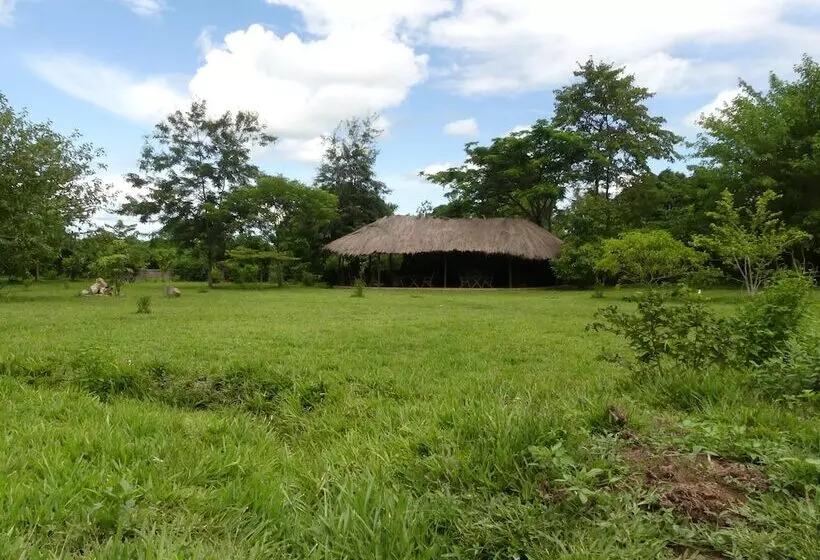 ホテル Udzungwa Forest Camp