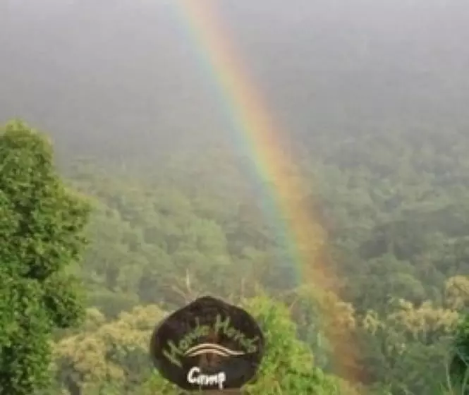 ホテル Udzungwa Forest Camp