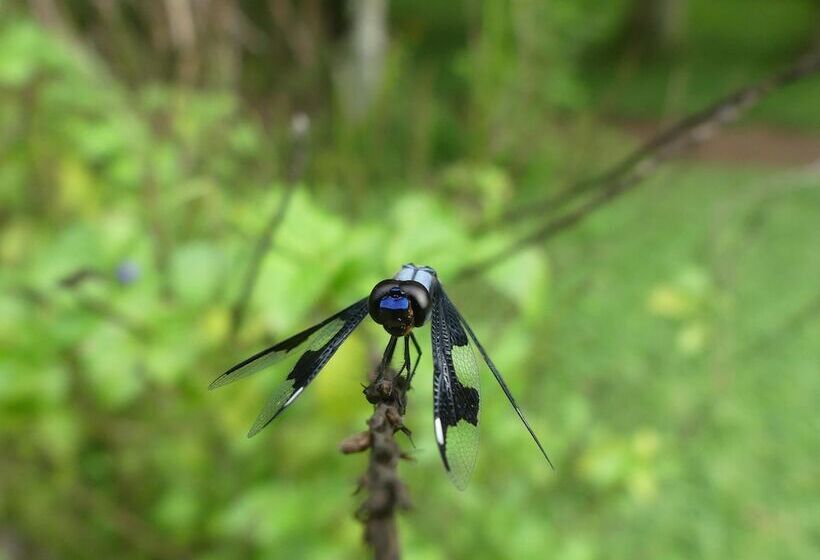 Hotel Udzungwa Forest Camp