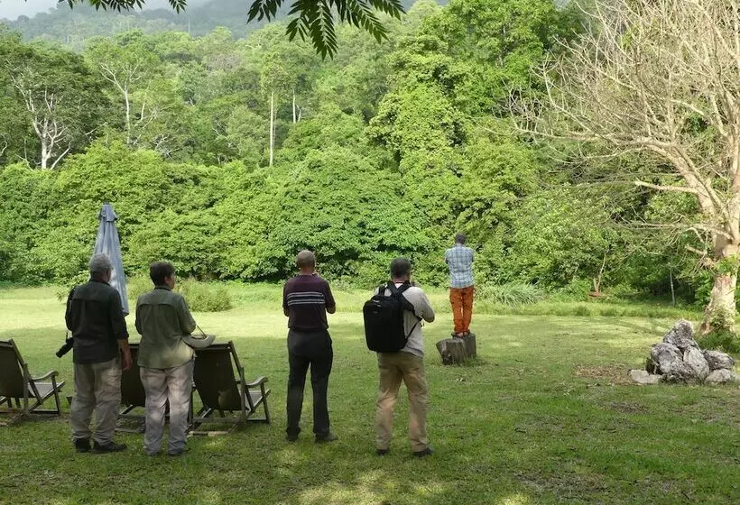 ホテル Udzungwa Forest Camp