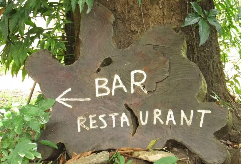 ホテル Udzungwa Forest Camp