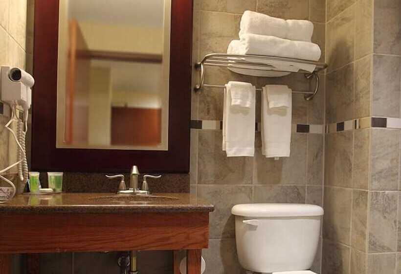 ホテル Winnavegas Casino & Resort