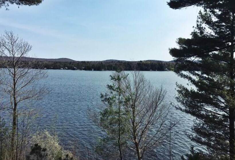 汽车旅馆 Great Pines