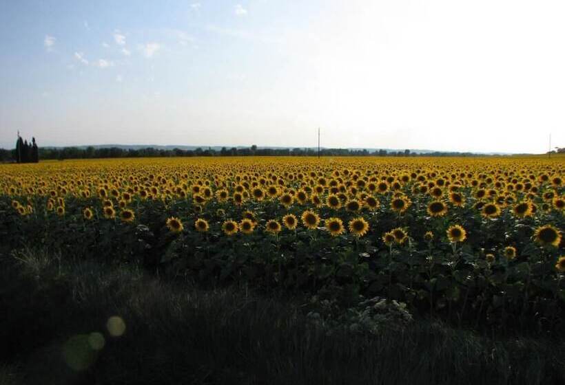 Пансион Domaine Saint Joly