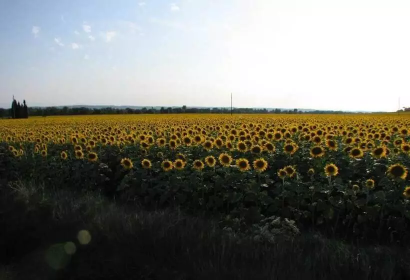 ペンション Domaine Saint Joly