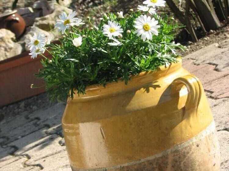 Пансион Domaine Saint Joly