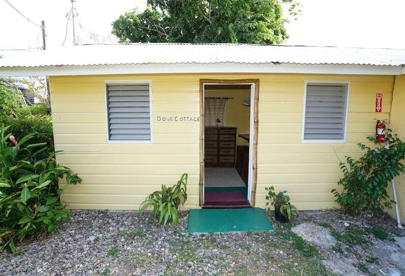 استراحتگاه Green Castle Estate