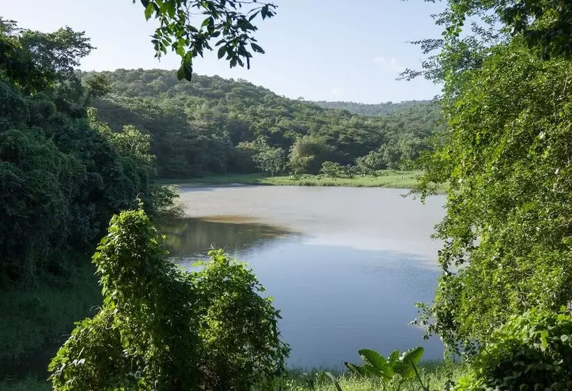 استراحتگاه Green Castle Estate
