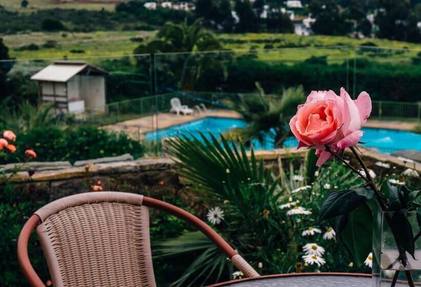 Strandvagen Maitencillo