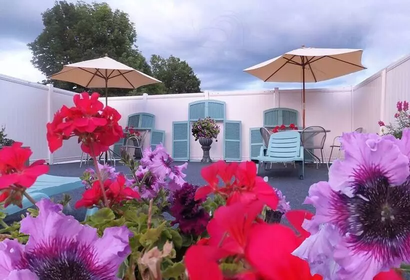 Windsor Motel