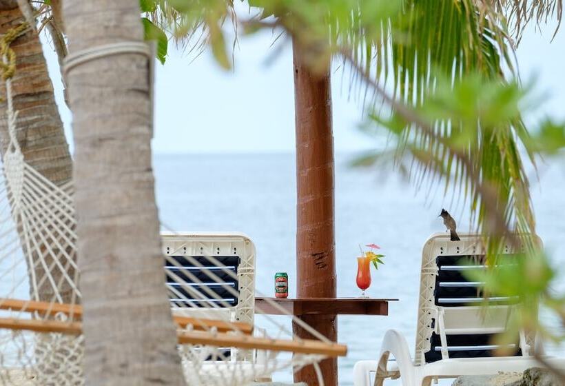 Auberge Hôtelière South Sea Island