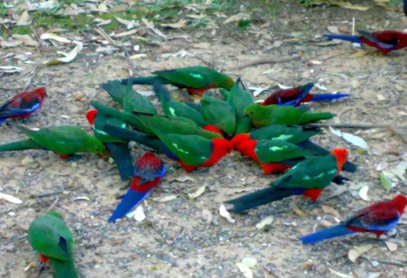 Batemans Bay Holiday Park & Hostel