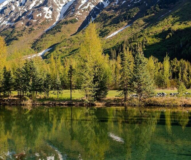 Bed & Breakfast The Inn At Tern Lake