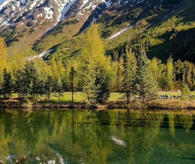 Aamiaismajoitus (B&B) The Inn At Tern Lake