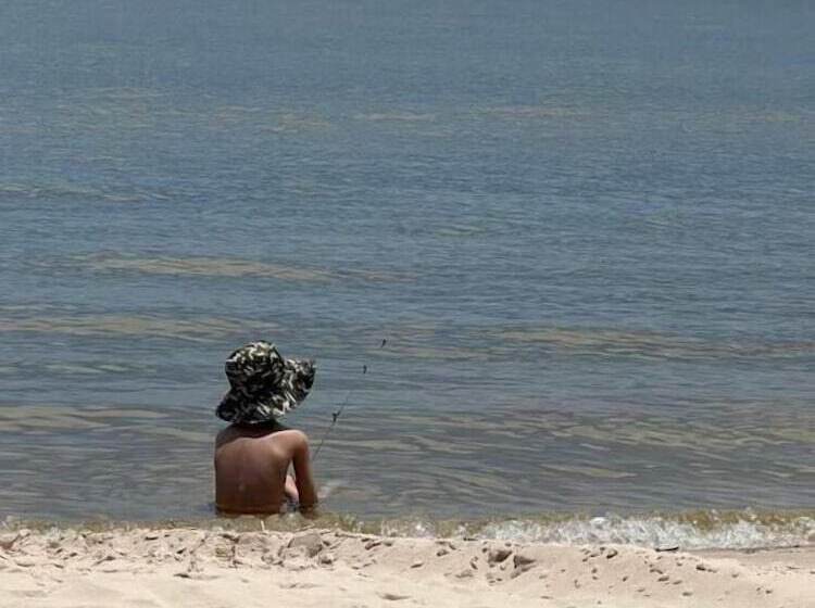 Blue Dolphin Inn And Cottages