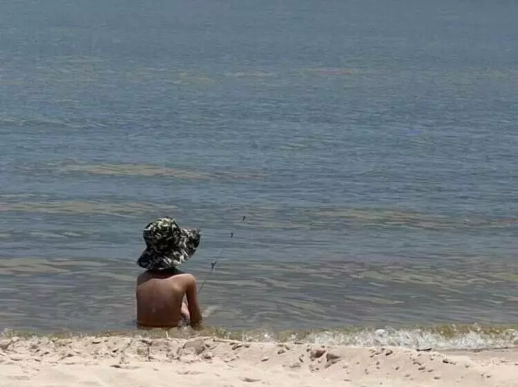 Blue Dolphin Inn And Cottages