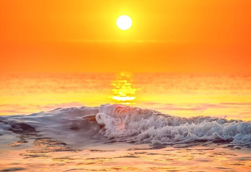 Blue Dolphin Inn And Cottages