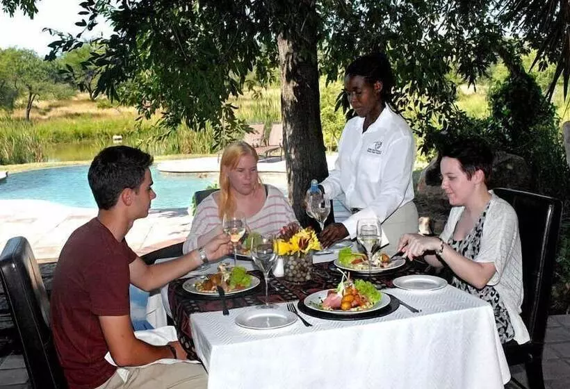 Gazebo Lodge   Hostel