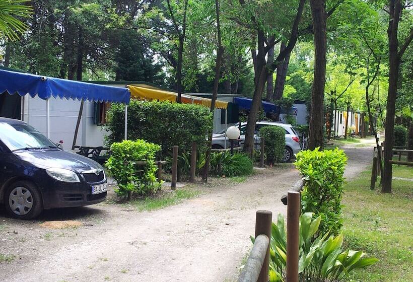 בית מלון כפרי Campground Holiday Center Valdor