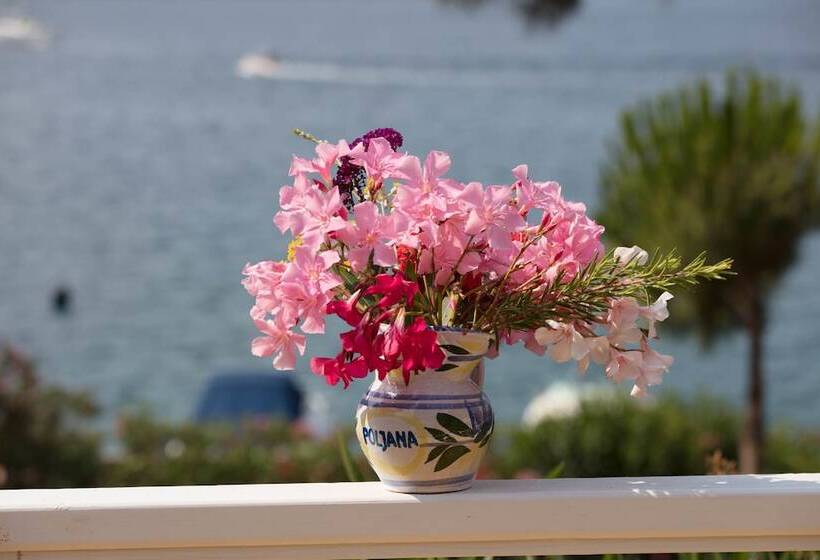 בית מלון כפרי Camping Village Poljana