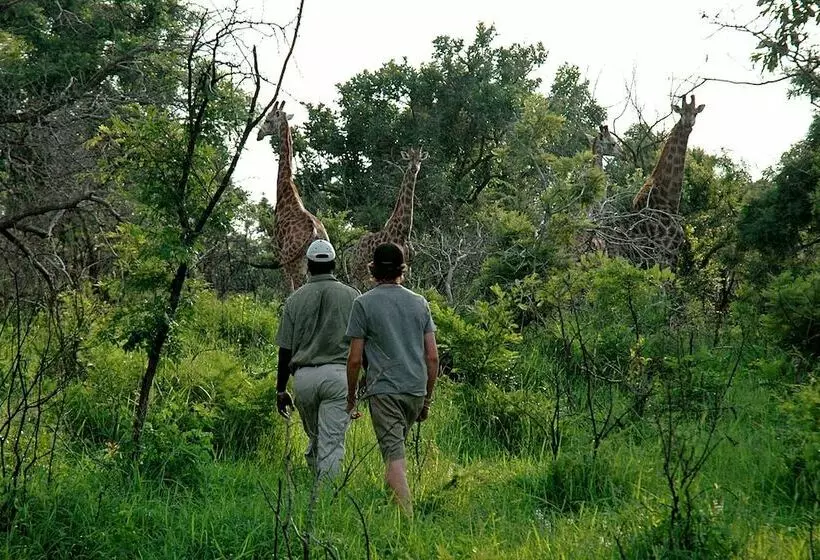 ホテル Kingfisher Bush Camp