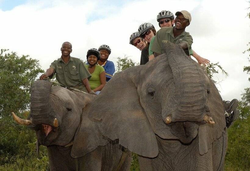 בית מלון כפרי Kingfisher Bush Camp