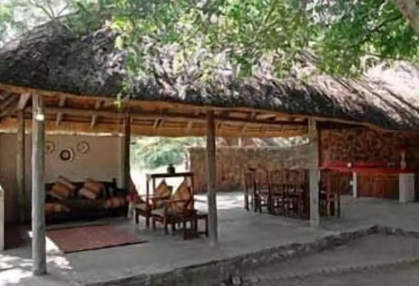 ホテル Kingfisher Bush Camp
