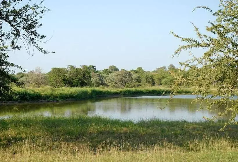 ホテル Kingfisher Bush Camp