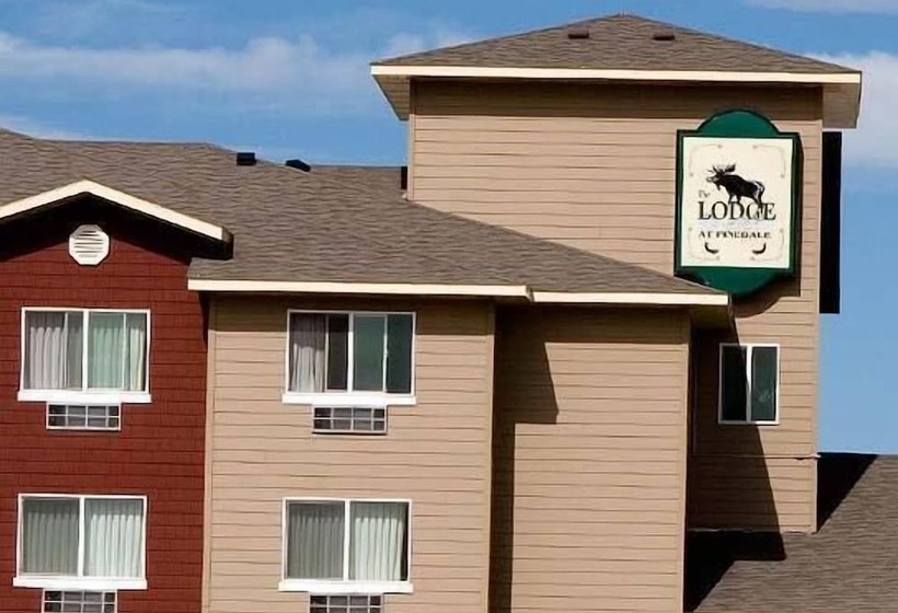 Отель Quality Inn & Suites