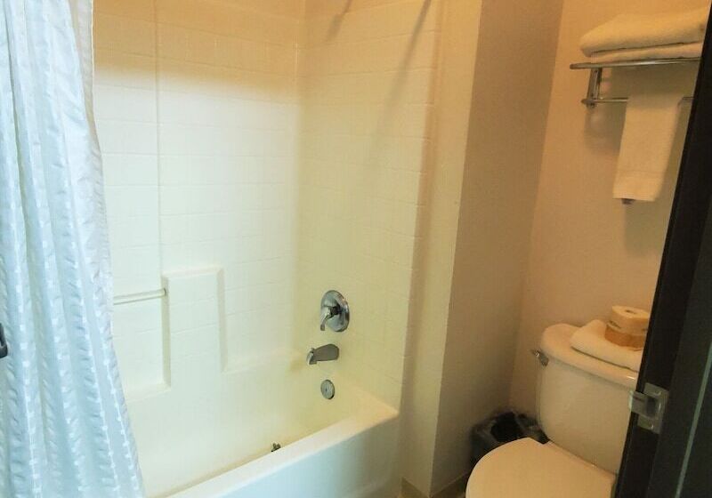 Отель Quality Inn & Suites