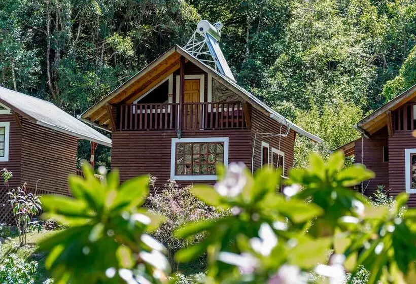 Hotelli Sueños Del Bosque