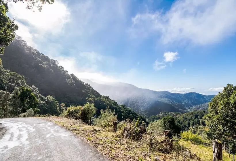 Hotelli Sueños Del Bosque