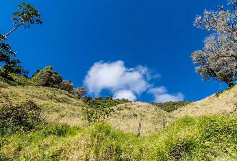 Hotelli Sueños Del Bosque