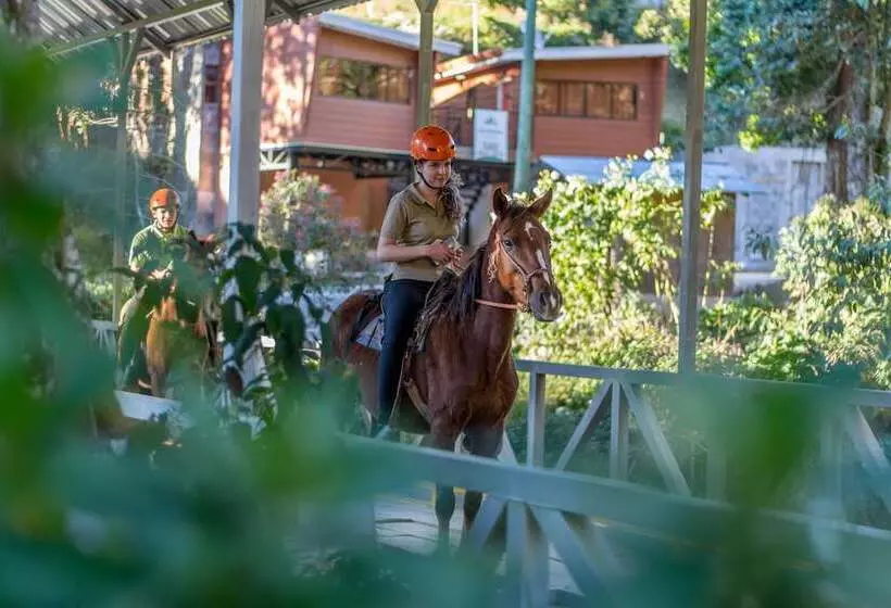 Hotelli Sueños Del Bosque