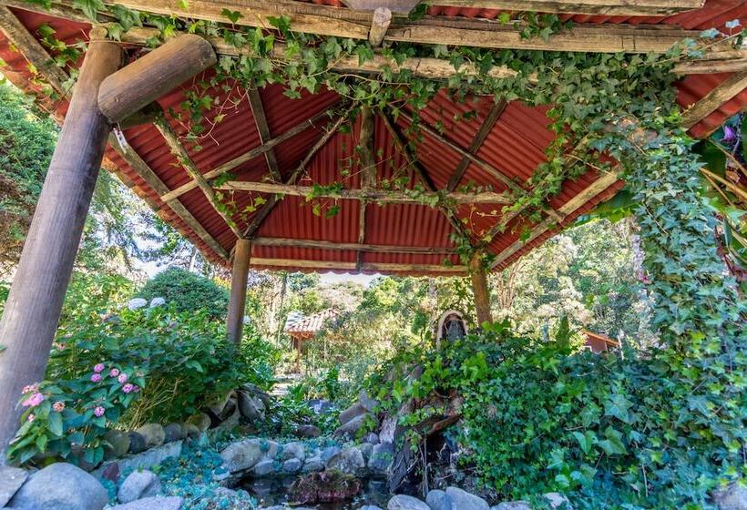 Отель Sueños Del Bosque