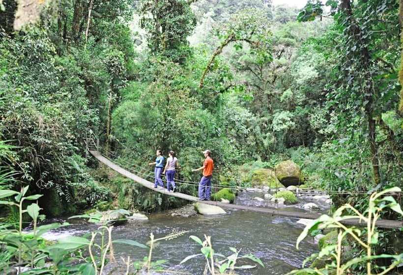 Отель Sueños Del Bosque
