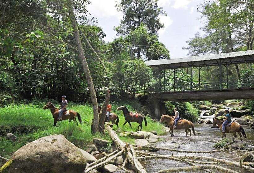 Отель Sueños Del Bosque
