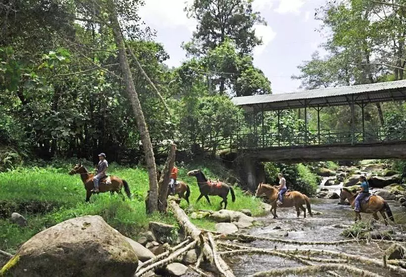 Hotelli Sueños Del Bosque